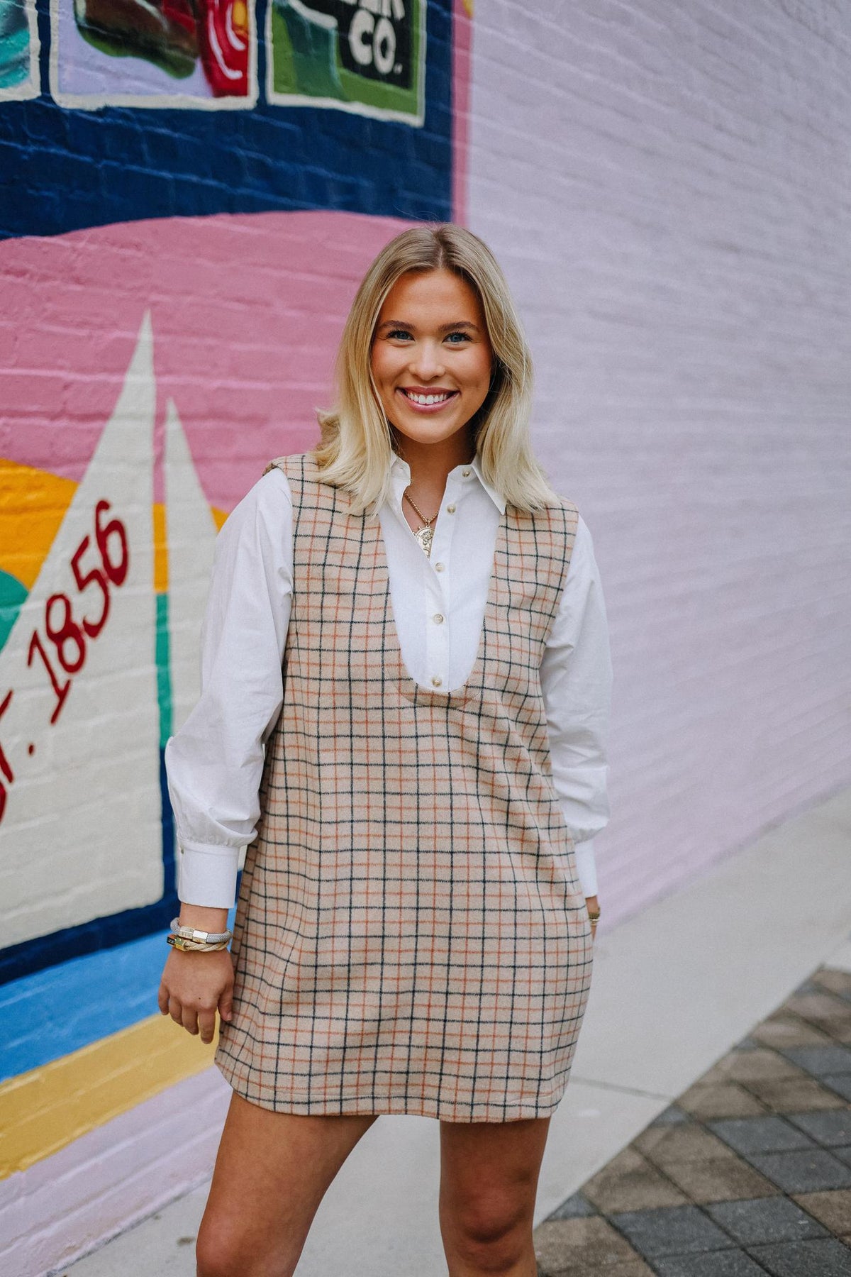 Double Take Mini Dress