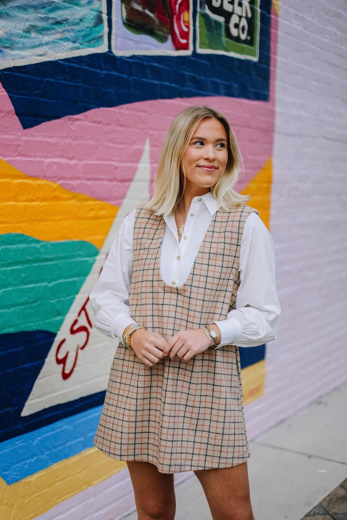 Double Take Mini Dress