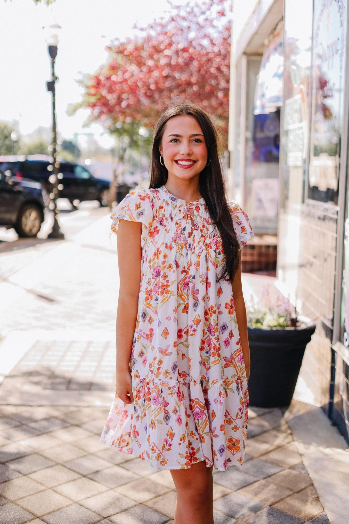 Southern Charm Mini Dress